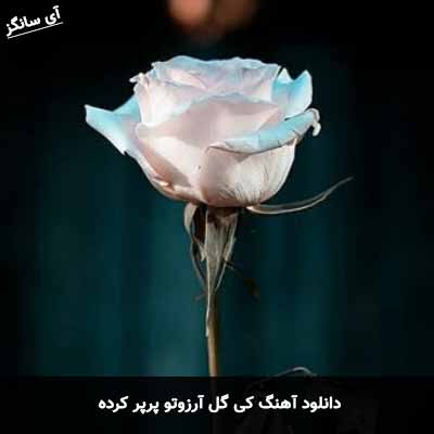 دانلود آهنگ کی گل آرزوتو پرپر کرده آرش دلفان